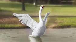 White Swan Rigged 3D model
