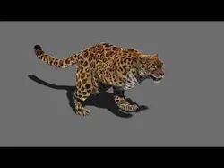 animal collection zoo animals pack