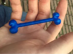 Bone