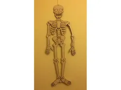 Lasercut Skeleton