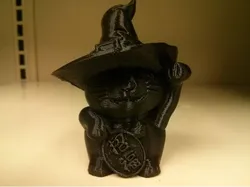 Lucky Witch Cat