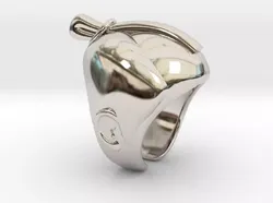 SAMURAI Ring  3D print model