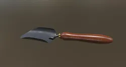 Scoop