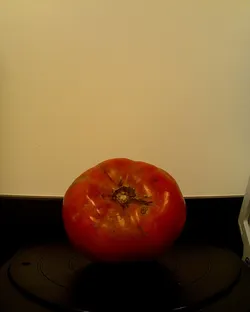 Tomato Mt Red