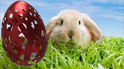 Sculptured egg for Easter