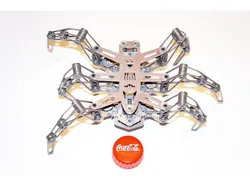 Spider Rover Mini