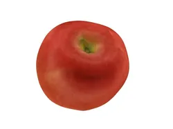 The Apple-2