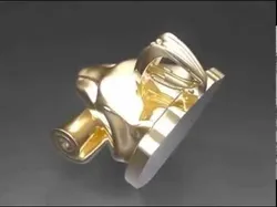 TigerKnowledge lion head pendant 3D print model