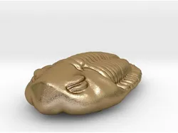 Trilobite K-Class