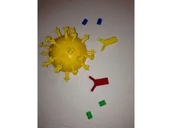 Antibody Epitope teaching kit