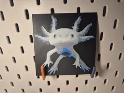Axolotl Picture  - Free 3D Print Model