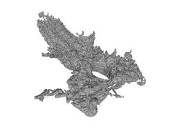 Drosophila larvae neuronal system