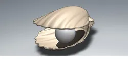 Shell