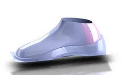 Shoe Surface Model