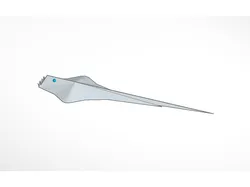 Stingray-Manta Ray