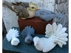 Two Bird Models