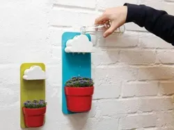 Wall Flower Mount (CLICK)