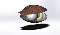 Ракушка / Shell