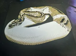 hueforge python regius - Free 3D Print Model