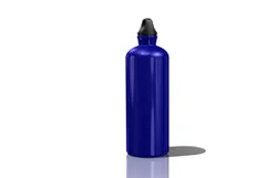 Sigg Water Bottle