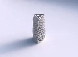 Vase triangle with twisted organic lattice and skewed thickness 3D print model
