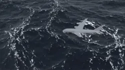 Simulation of ocean waves