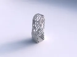 Vase twisted arc quadratic with diagonal grid lattice 3 3D print model