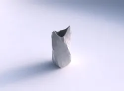 Vase twisted double arc quadratic with fine organic cells 3D print model