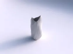 Vase twisted double arc quadratic with twisted bands 3D print model