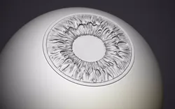 Human eye  3D print model