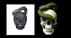 skull and snake