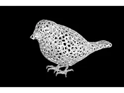 Voronoi Java(RiceBird) Sparrow