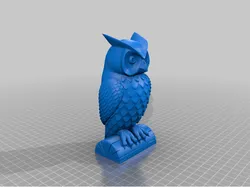 owl facing front