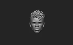 Phoenix - Headsculpt for Action Figures 3D print model 3D print model