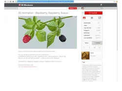 SKP2STL Raspberry