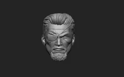 Slade - Headsculpt for Action Figures 3D print model