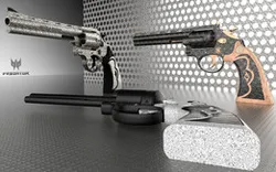 SMITH & WESSON