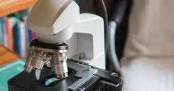 A camera for a microscope