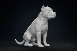 American Bully Pitbull Muscle Dog 3D Print Model in Other 633590