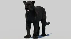 Black Panther with Realistic Fur