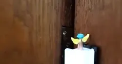 Doorstop Ward