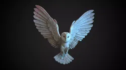 Flying Owl  -  3D Sculpting