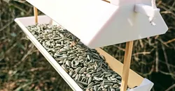 Hanging Bird Feeder (highly customizable)