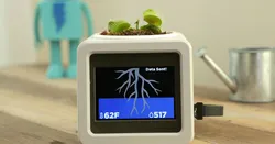 IOT Smart Pet Planter