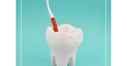 Kawaii Toothbrush Holder