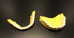 Laughing Face Separated Teeth