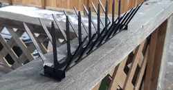Print Flat Bird Spikes