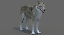 Red Wolf