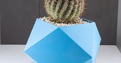 Spikey Planter