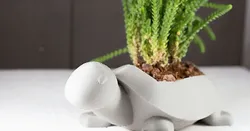 Turtle Planter